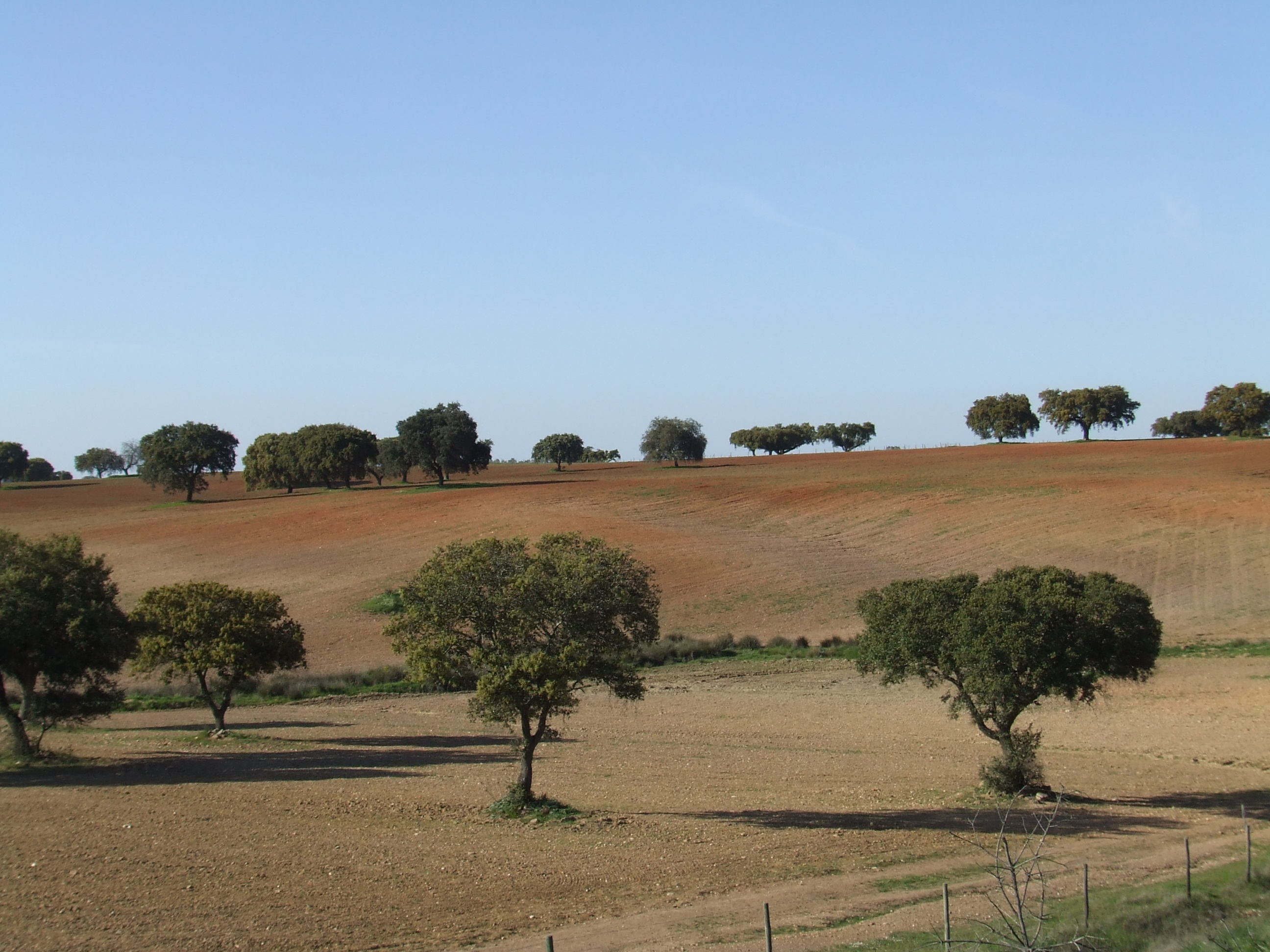 beja-castro-verde-Alentejo_Countryside_-_Castro_Verde_-_Portugal